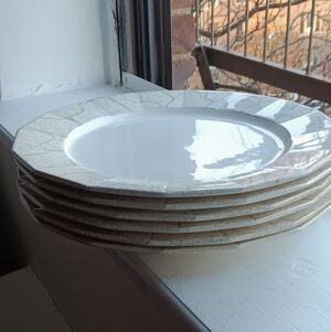Elegant Set Of 6 Jacques Molin Dinner plates